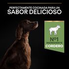 Pro Plan Adult Large OptiDigest Cordero pienso para perros image number null